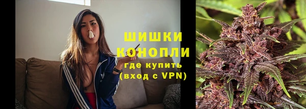 твердый Няндома