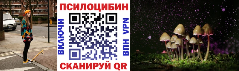 Галлюциногенные грибы Cubensis  Чебаркуль 